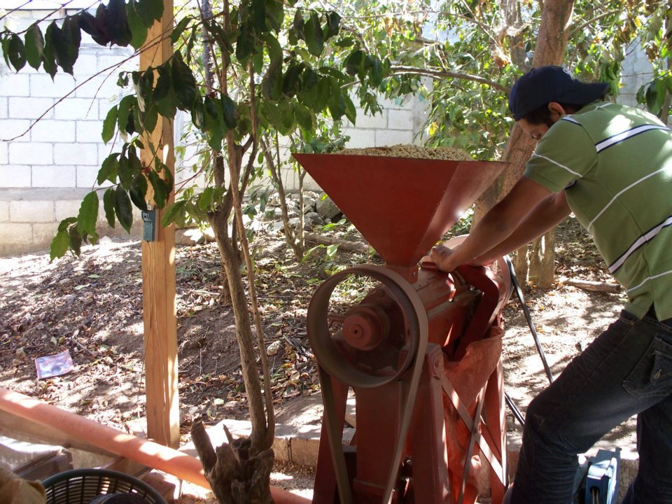 80 Stone Coffee Roasters London visit Guatemala coffee co-operative