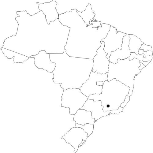 apasbrazil