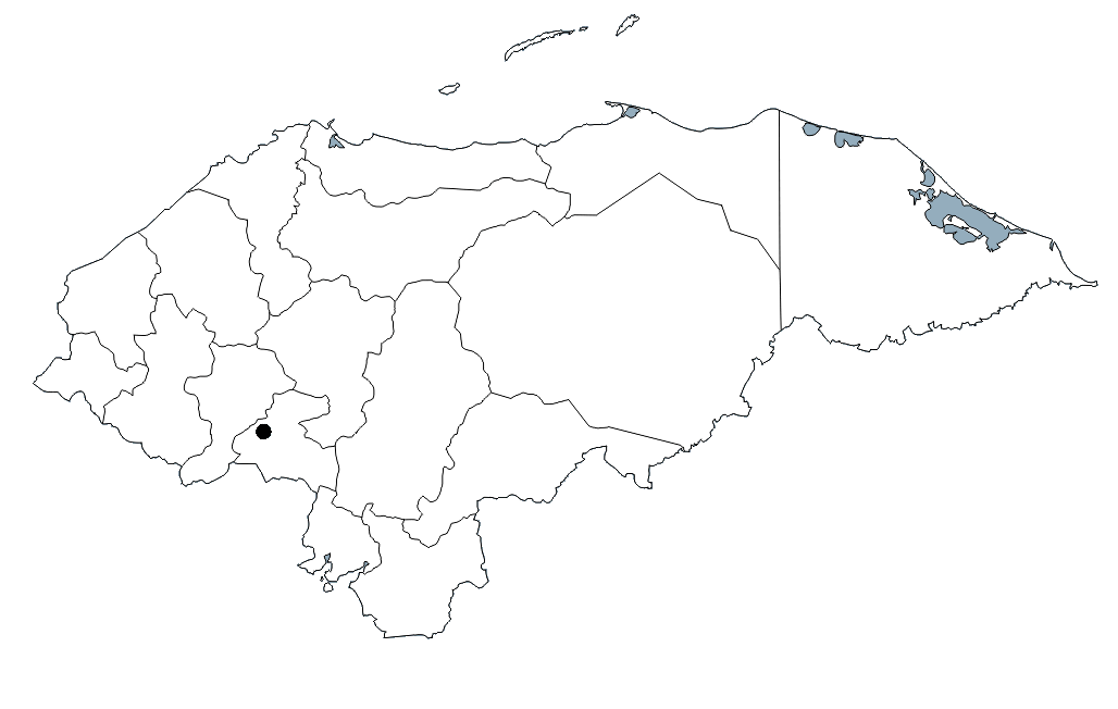 Comsa map